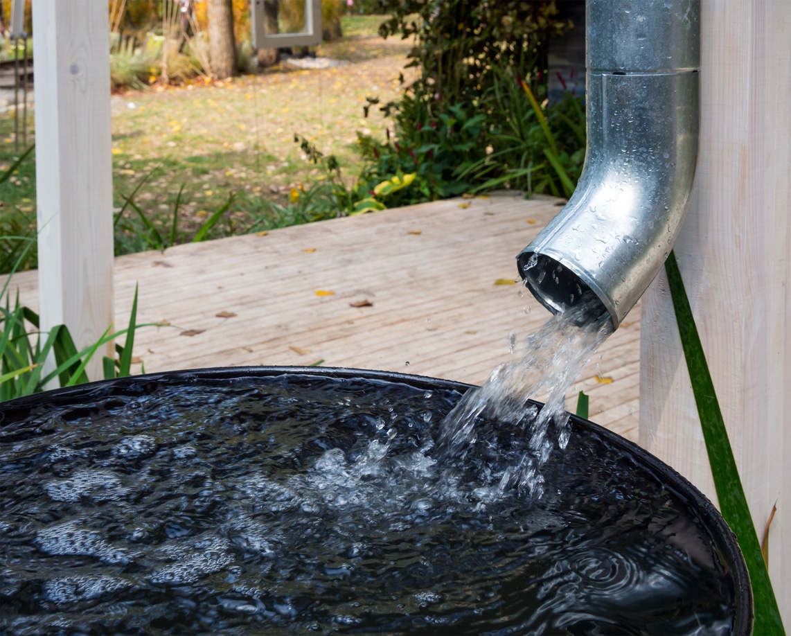 Rainwater Harvesting: Tips For Maximizing Water Efficiency 