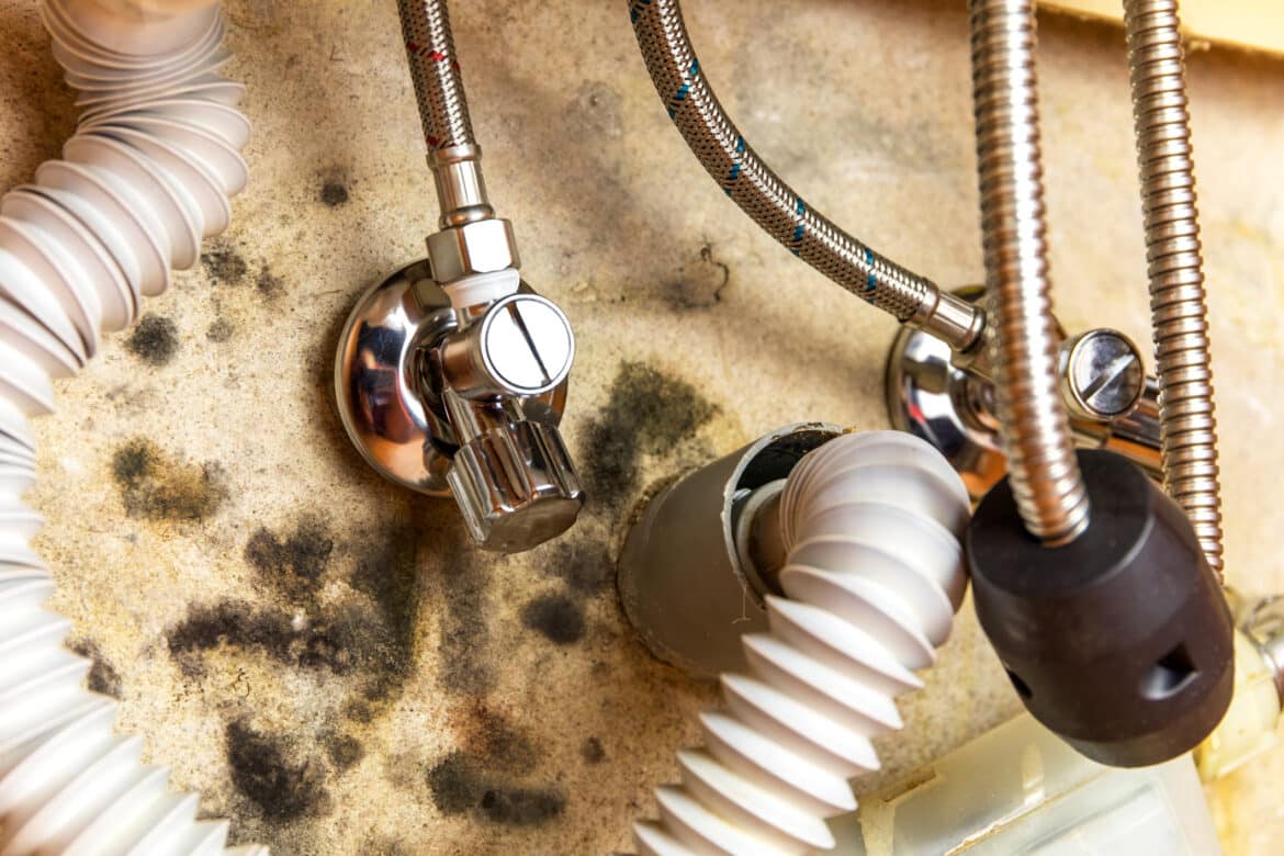 Preventing Mold with Proper Plumbing